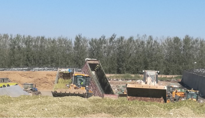 081346351850.png image.png