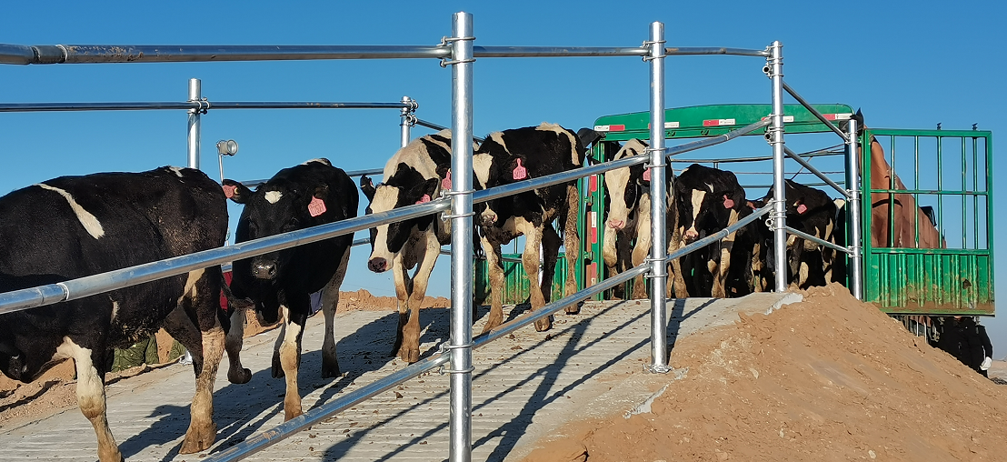 利来·国际[中国]最老牌-中国官网