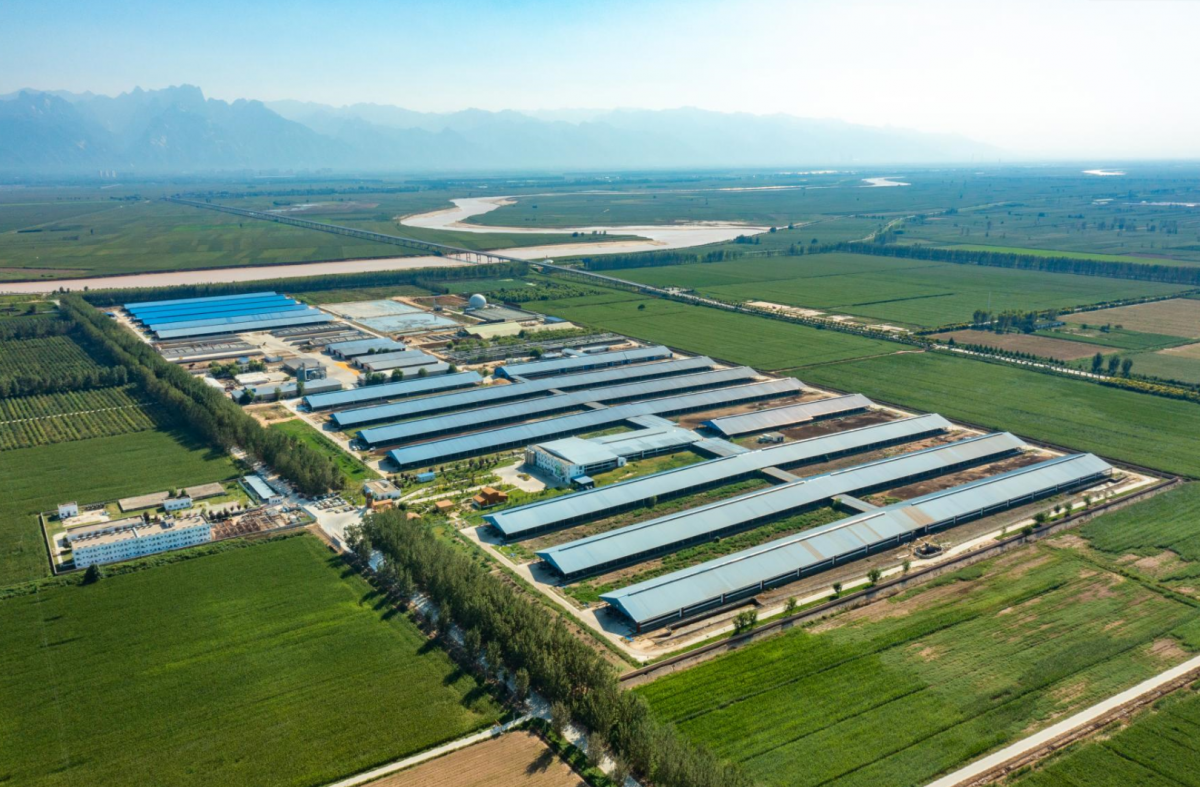 利来·国际[中国]最老牌-中国官网